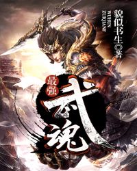 最强武魂封面