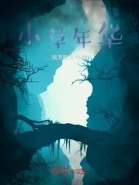 小草年华封面