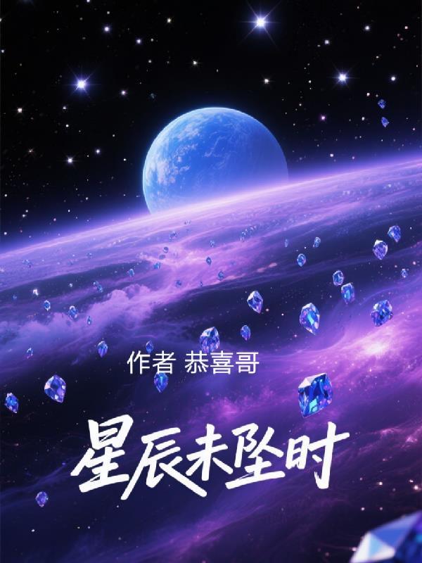 星辰未坠时封面