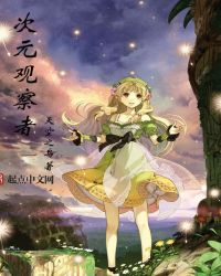 次元观察者封面