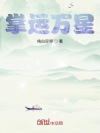 掌运万星封面