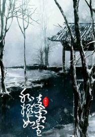 冰凌极霜如雪封面