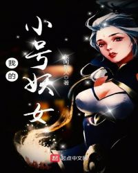 我的小号妖女封面