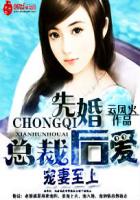 宠妻至上:总裁先婚后爱封面