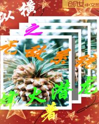 纵横之无敌系统封面