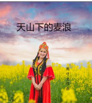 天山下的麦浪封面