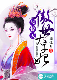 凤惊天：傲世太子妃封面