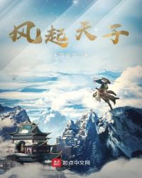 风起天子封面