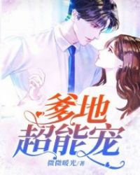 爹地超能宠封面