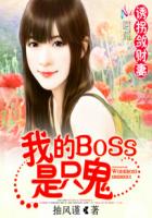 诱拐敛财妻：我的BOSS是只鬼封面