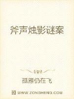 斧声烛影谜案封面
