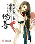 重生之伪善封面