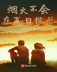 烟火不会在夏日绽放封面