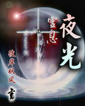 灵息:夜光封面