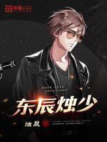 东辰烛少封面