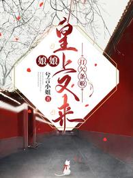 娘娘，皇上又来打欠条啦封面