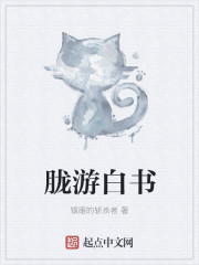 胧游白书封面