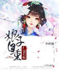 厂公有疾，娘子自重封面