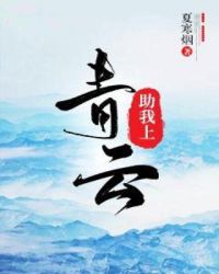 助我上青云封面