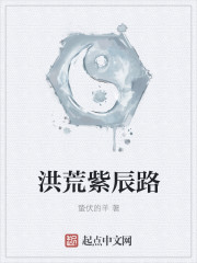 洪荒紫辰路封面