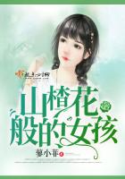 山楂花般的女孩封面