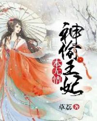 神偷王妃本无情封面