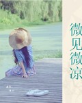 微见微凉封面