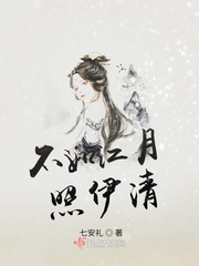 不如江月照伊清封面