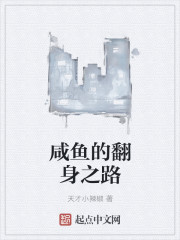 咸鱼的翻身之路封面