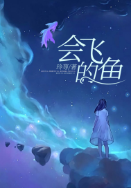 会飞的鱼封面