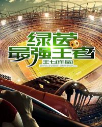 绿茵全能球王封面