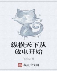 纵横天下从放电开始封面