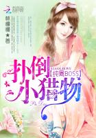 纯禽BOSS：扑倒小猎物封面