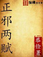 正邪两赋封面