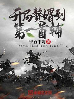 开局赘婿到第一首辅封面