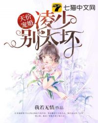 天价宠婚凌少别太坏封面