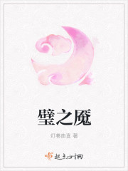 璧之魇封面
