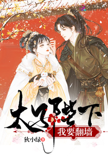 太子陛下我要翻墙封面