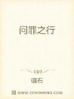 问罪之行封面