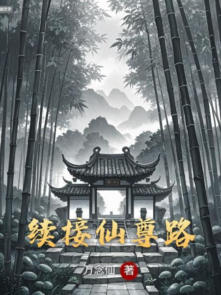 续接仙尊路封面