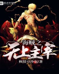 海贼王之无上主宰封面
