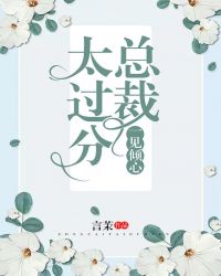 一见倾心:总裁太过分封面