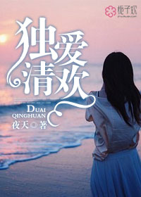 独爱清欢封面