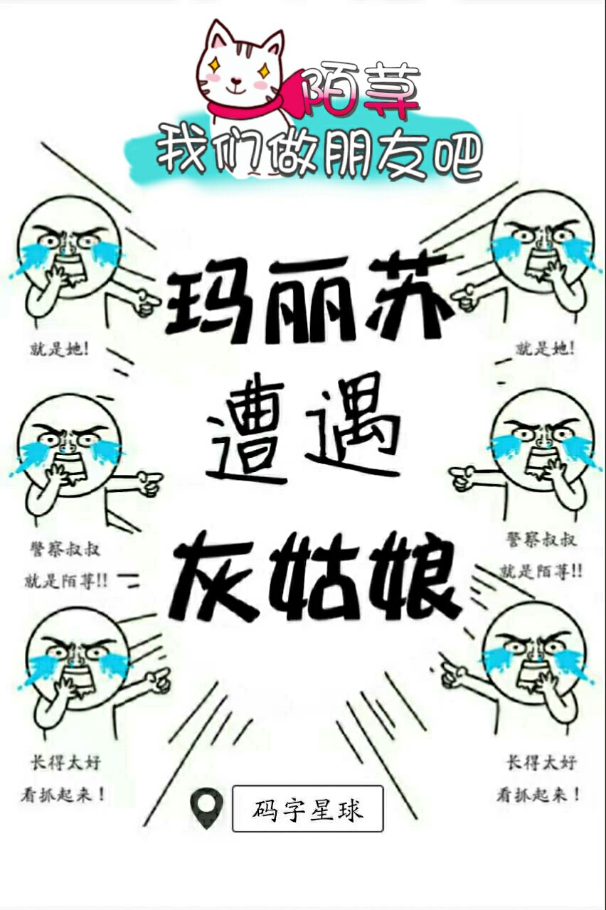 玛丽苏遭遇灰姑娘封面