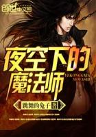 夜空下的魔法师封面