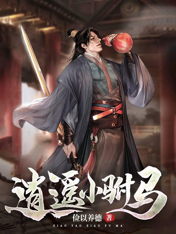 逍遥小驸马封面