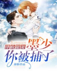 墨少你被捕了封面