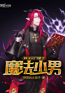 异次元入侵之魔法少男封面
