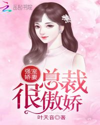 强宠娇妻：总裁很傲娇封面