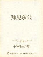 拜见东公封面